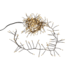 Rozsvícený světelný řetěz Glow Black na bílém pozadí, který vydává příjemné teplé žluté světlo.