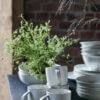 Hrnek Pion White