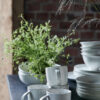 Miska Pion White